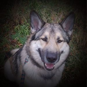 Meet your Posher, Jamie